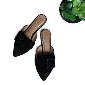 Halogen Black Pointed Buckle Mule Sandals